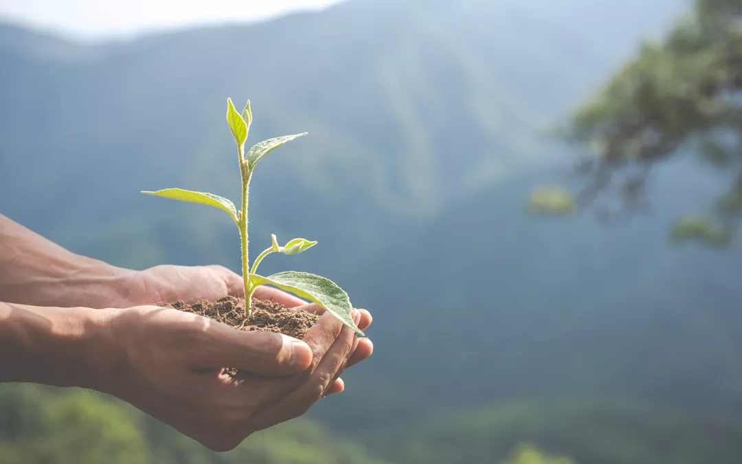 Imprimerie Marie devient entreprise à mission : une première en France dans l’imprimerie de labeur