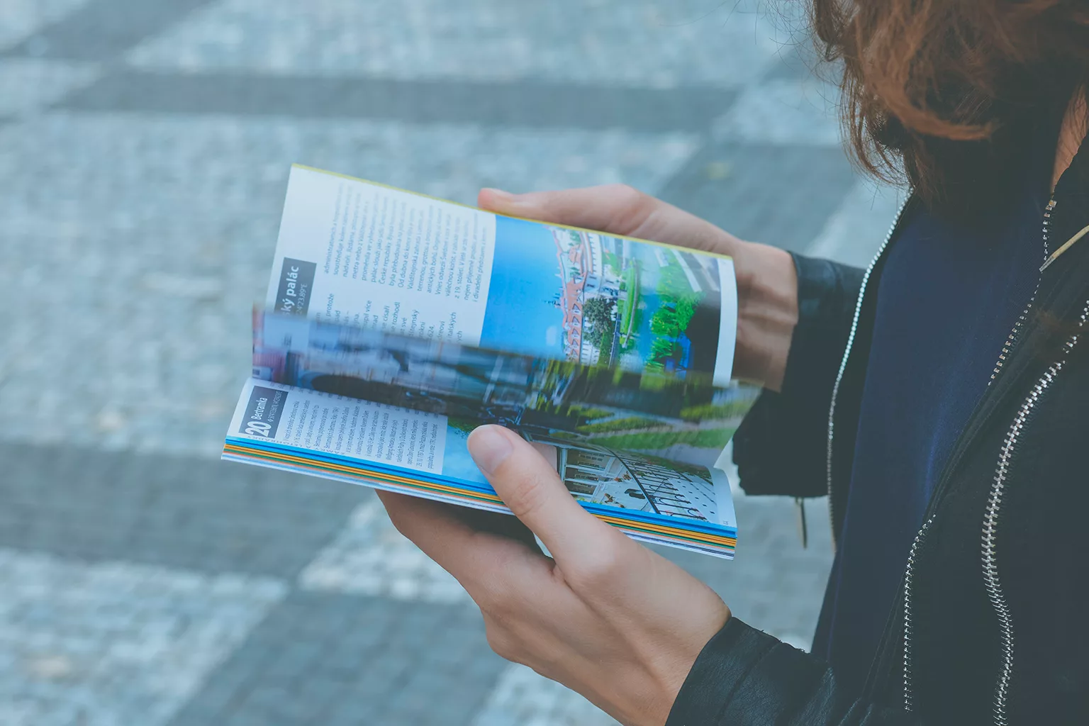 brochure brochure